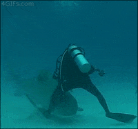close call living on the edge GIF