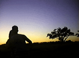 Jack Antonoff GIF by Bleachers