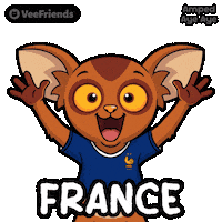 Happy France Sticker by VeeFriends