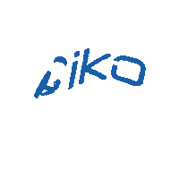 Kitesurf Sticker by ikokite
