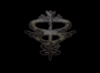 Haunting Ground Capcom GIF