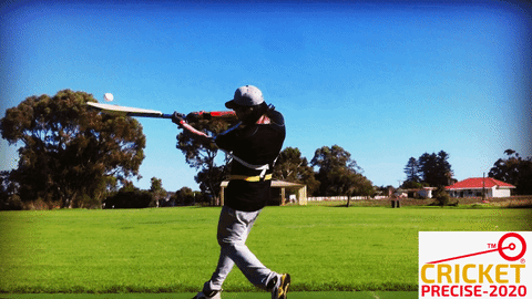 cricket precise GIF