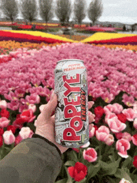 Energy Drink Peach GIF by Popeye Energy