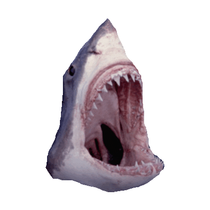 awesome shark STICKER by imoji