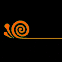 Caracolsorvetenachapa GIF by Caracol