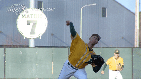 north dakota state baseball GIF by NDSU Athletics