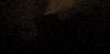 stranger things monster GIF by Refinery 29 GIFs