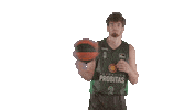 Liga Endesa Spinning Sticker by ACB