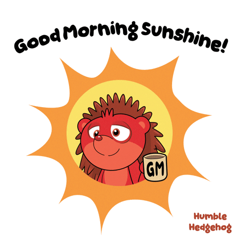 Good Morning Sun GIF by VeeFriends