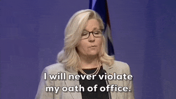 Liz Cheney Gop GIF by GIPHY News