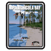 Aquatic Preserve Sticker by FLDEP