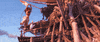 the rock disney GIF by Moana