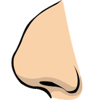 Face Surgery Sticker by Esthetics Center