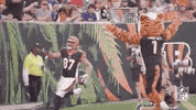 High Five National Football League GIF by NFL