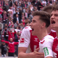 1 Fc Cologne Football GIF by 1. FC Köln