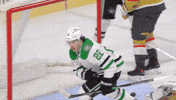 Happy Dallas Stars GIF by NHL