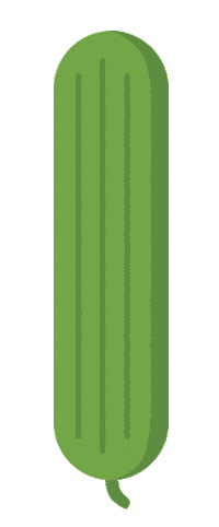 Healthyfood Foodtogo Sticker by raedercap