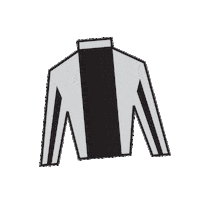 Horse Racing Sticker by Kentucky Derby