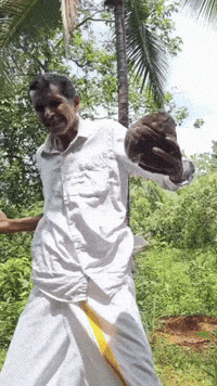 Gangnam Style Coconut GIF