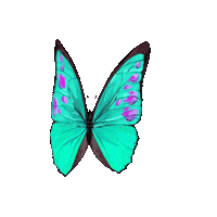 Butterfly Wings Sticker