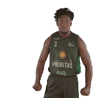 Lets Go Basketball Sticker by ACB