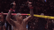 Mixed Martial Arts Sport GIF by UFC
