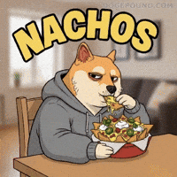 Hungry Nom Nom GIF by Doge Pound