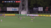 randall GIF by Adelaide Crows