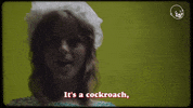 Eternal Tv GIF by Eternal Family