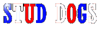 stud Sticker