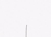 withloveseventeen love flower rose plant GIF