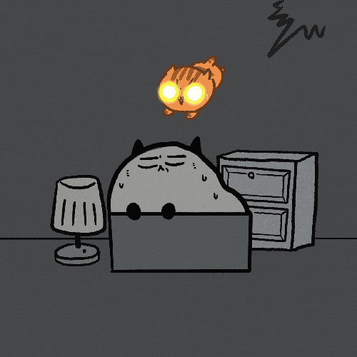 Cat Night GIF