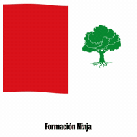 Castilla-La Mancha Flag GIF by Formación Ninja