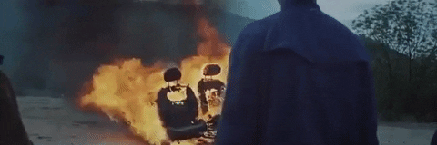 Big Cat GIF by Domino Recording Co.