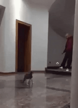 asudeasar giphyupload GIF