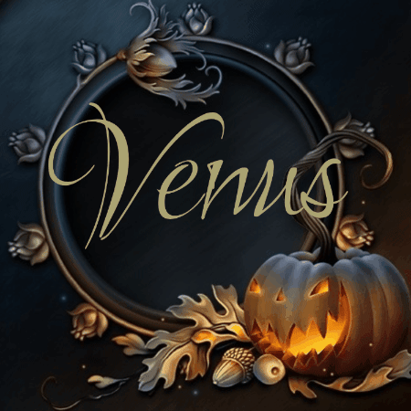 Rania_Venus giphygifmaker giphyattribution GIF