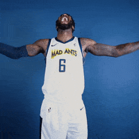 themadants basketball nba lets go hype GIF