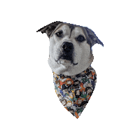Harry Potter Katsu Sticker by Geekster Pets