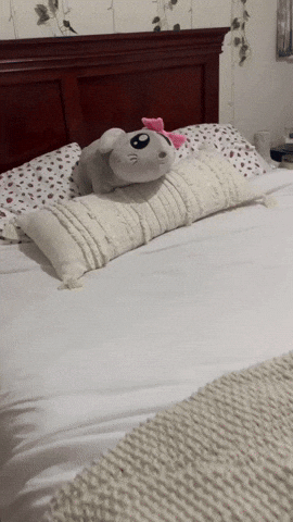 Liamb2223  GIF