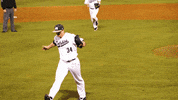 GIF by Jacksonville University