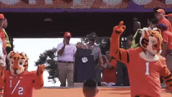 College Football GIF by Clemson Tigers
