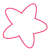 Star Estrella Sticker