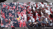 Ohio State Fans GIF by Ohio State Athletics