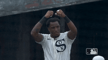 Regular Season Sport GIF by MLB