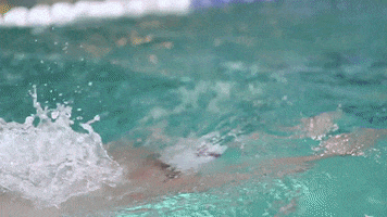 Swimming GIF by Roanoke College