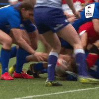 Womens Rugby GIF by Women's Six Nations