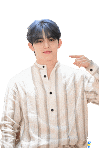 Idol 세븐틴 Sticker by koreadispatch