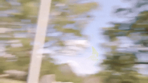 Dance Spirit Fingers GIF by The Wiggles