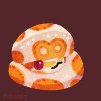 Ball Python Snake GIF by pikaole
