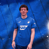 Sport Bundesliga GIF by TSG Hoffenheim